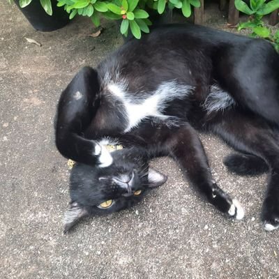 muehae_Kjr's profile picture. 💜💜💜💜💜💜💜