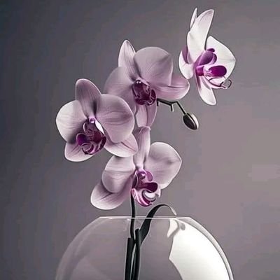 AzharSami93055's profile picture. كل الظلام الذي في الدنيا لا يستطيع أن يخفي ضوء شمعة مضيئة🥀