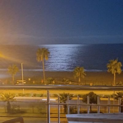 mehmet161670's profile picture. Paylaşımlarım yatırım tavsiyesi amaçlı değildir.