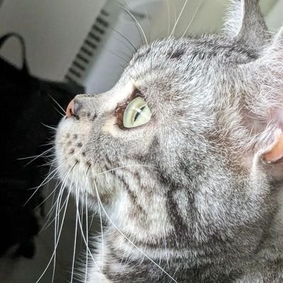 mybliss___'s profile picture. 独白