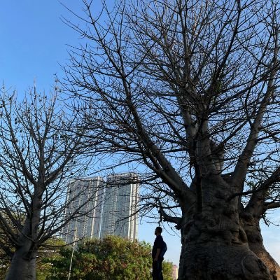 GiyantoWiyono's profile picture. Alhamdulillah tahun ke 33

Blog: https://t.co/CAVB9NB4mU