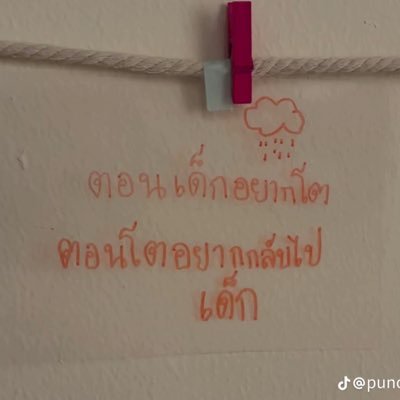 sgaaph85595's profile picture. 