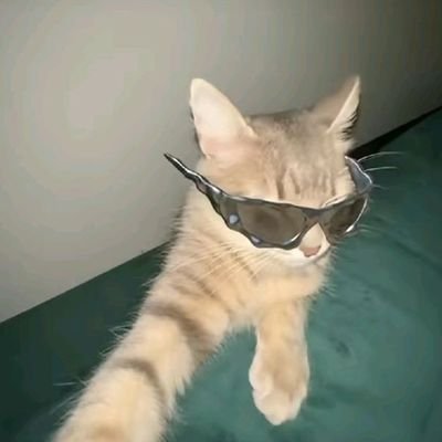 GerezSanti38998's profile picture. hola juego roblox para ugc o iteam gratis apoyo a noticias de roblox ugc y mas