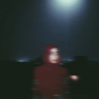 t__rehman's profile picture. I failed as a human bean. I am a dinosaur now. Just me and Allah mian plz plz plz against the world.