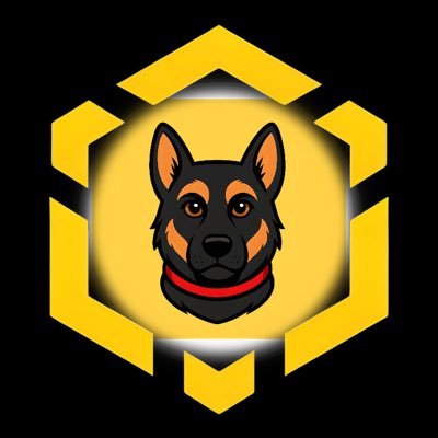 Arun544140's profile picture. always look for next 100x and @captainbnbbsc @belg