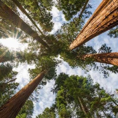 adedayo_ad72014's profile picture. Economist, Bookkeeper, Data analyst aspirant, Self Reliance