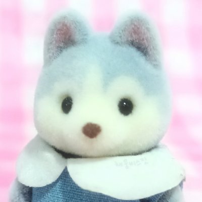 cmbiscuits's profile picture. • 몬스타엑스 ♡ 몬베베 •
cats 𓃠♡
sylvanian fams