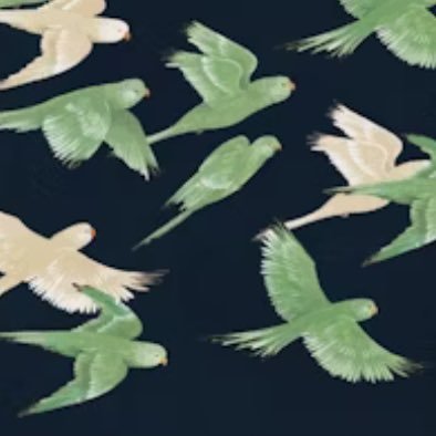 _Leyanelle_'s profile picture. Radical Materialist Feminist. Working Class. Doing my best with chronic illness. Trying to challenge dehumanisation within our politics and culture.