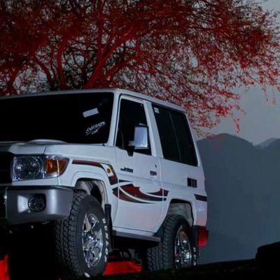 MJas73020's profile picture. 