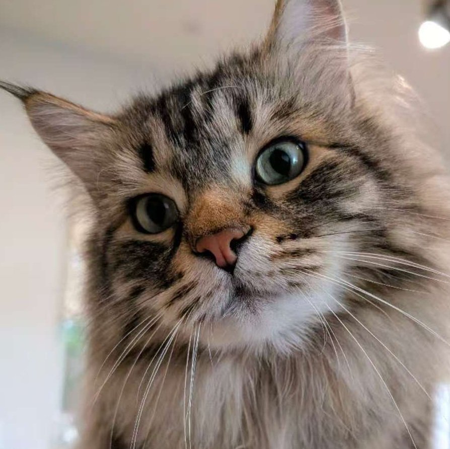 TYL620's profile picture. 