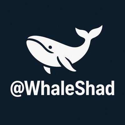 WhaleShadqwrd's profile picture. I post #SOL #Memecoins| we all gonna make it. Faith driven || Catching 10~1000x gems 💎 Entry alerts & sniper calls ||  dev || Promoter