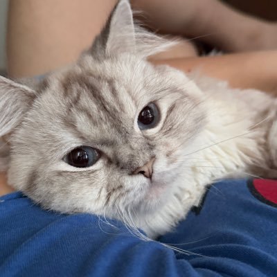 zwitterionich's profile picture. just another coffee enthusiast obsessed with her cat