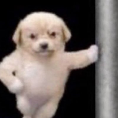 dansaneateat's profile picture. 콤수집가