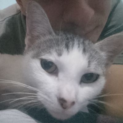 CulinaryPe88255's profile picture. 