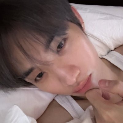 dwandelions's profile picture. a certified professional yapper & a multi-stan at its finest.