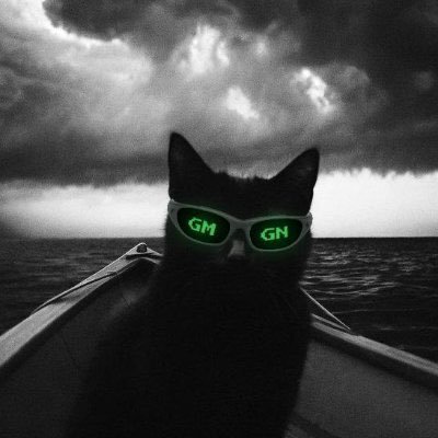 berrezgoun's profile picture. Cooking https://t.co/ive39Vxqg7 Don't copy trade my wallet, I will sell it at any time. I have no reason for my trade, just testing the product.