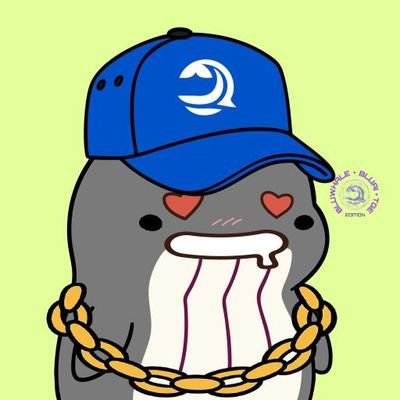 karimh5544's profile picture. 💻 Web3 Enthusiast | ₿ Crypto Projects Hunter
📈 Exploring DeFi, NFTs & Blockchain Tech
my discord Karim09473