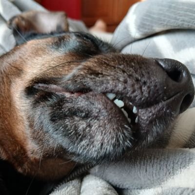 arniefaulkner's profile picture. 