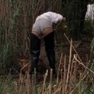 itisilol321's profile picture. Remember when immigrants used to come here, work hard, and assimilated to Canadian modern life & Laws?
Seems the only thing we import now is crime