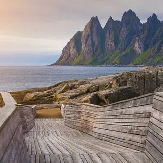 nyenjaabis's profile picture. daidaidai