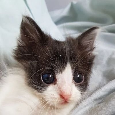 feffielow's profile picture. HorseBoy23 // Hardstuck feffielow

Madly in love w/ my girlfriend