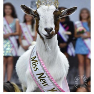 SNabours34089's profile picture. Old and retired ,politics is something new to spend my time driving my family crazy with.  I can thank OBAMA for that.