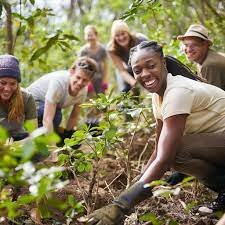 sadeeqmukhtarab's profile picture. 