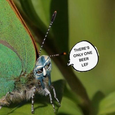 TITZIANO_'s profile picture. captling specialist !! 🇷🇴🦅 !! 18 - might repost nsfw 😓🔞