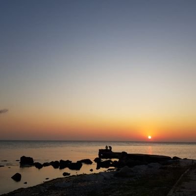 sevo797979's profile picture. 