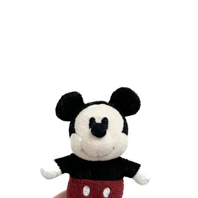 _tc39m's profile picture. 𝖽𝗂𝗌𝗇𝖾𝗒 ┊︎ぬいぐるみ┊︎手帳┊︎25↑