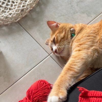 preempatt's profile picture. 🐈‍⬛💜#TENLEE #10vely , #PERSES 🧩💜#Pieces ,https://t.co/o5gqqSCZxj 🍅, #Sakuya 🌸 , #diamondnrk_💎,#LYKN 🐺, #Dice 🎲, #อู่อู๋เซฟ 🦋🐱