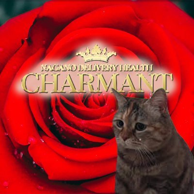 CHARMANTNAGANO's profile picture. 創業20年overの老舗デリヘルでござあます🚗
長野店、上田・佐久店の二店舗営業中！

地元キャスト、県外キャスト大募集中🌟

お問い合わせは
DMまたは公式LINEまで！
https://t.co/6OToDbhSjG
冷やかし大歓迎！お気軽に🦢

INFJのスタッフが管理しております。