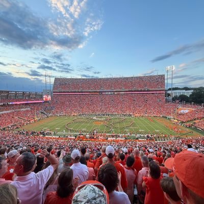 TigerFein's profile picture. Certified Ball-talker