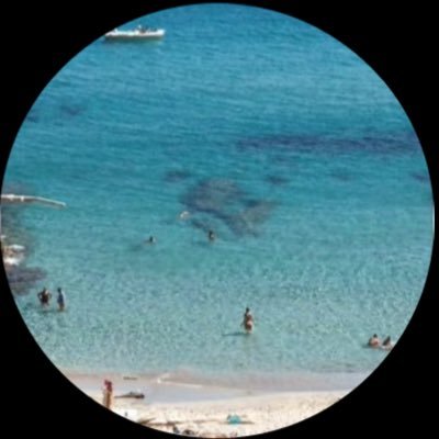 luca75433667's profile picture. 