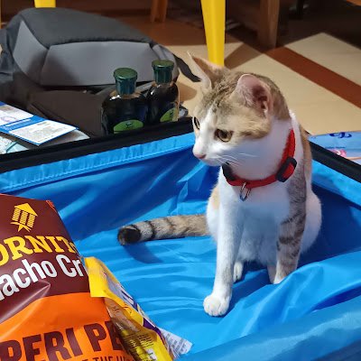 himanshubi_238's profile picture. 