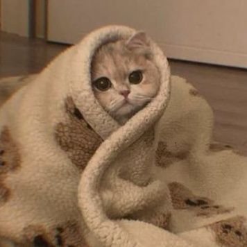 RajaRam646's profile picture. 