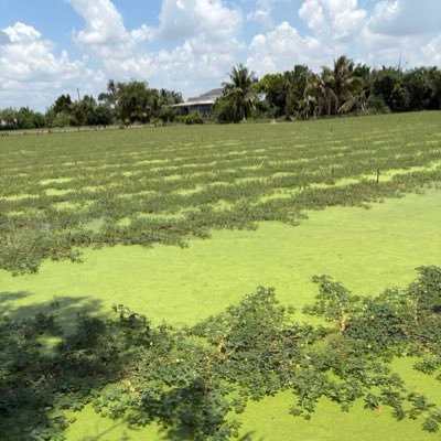 Travel123418111's profile picture. 🇮🇪🌍