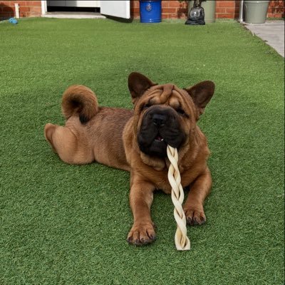 NikkiWadey's profile picture. without hope , there is nothing