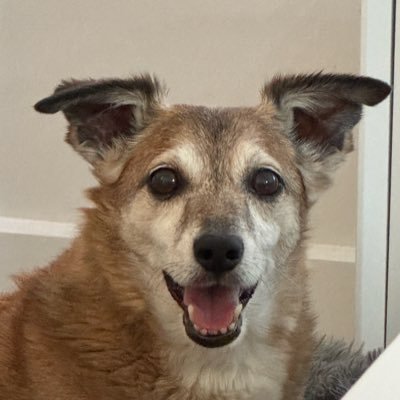 fredsha256's profile picture. 