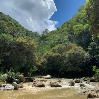 EarthHasAHope's profile picture. Earth lover, every day we have an opportunity to become better human beings. Spreading kindness is simple.