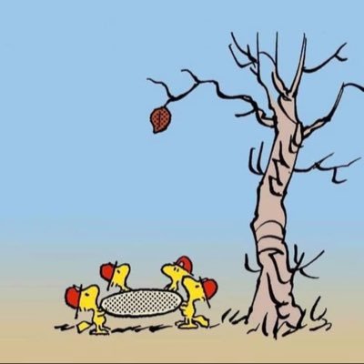 ANunwick's profile picture. Shayman. Ex-Goth. North Riding Exile. Very Average Runner. Official MD Alternative National Treaure.