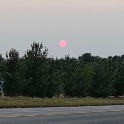 patovigi's profile picture. 