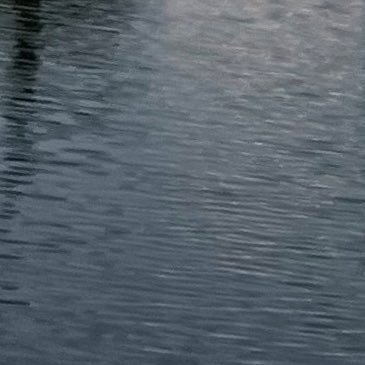 ijlnbv's profile picture. 