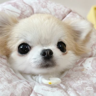 lucky97090198's profile picture. 额滴神呀上帝以及老天爷呀