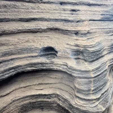 roimv's profile picture. 