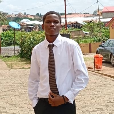 EmmanuelOr93659's profile picture. 💯 Web3 Enthusiast || Smart Contract Developer || Computer Scientist