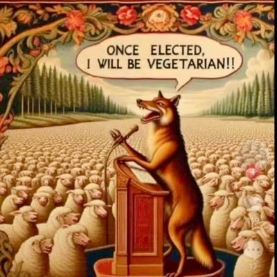 Faysy1's profile picture. 