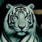 ES_F_LOE_'s profile picture. Happy Chartered Accountant