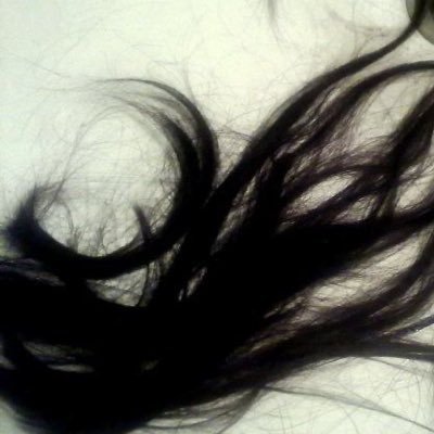 i520they's profile picture. all we know holidays come and go