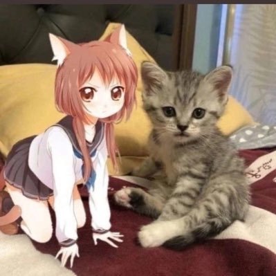 scarsvx's profile picture. nb any